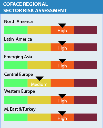 Coface Regional Sector Risk Assessment
