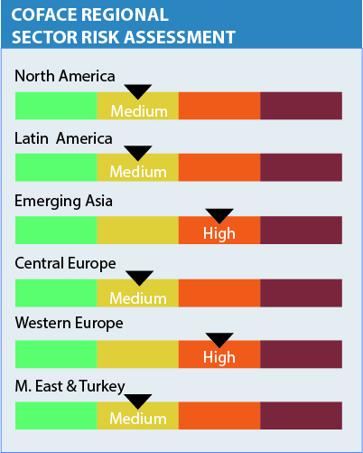 Coface Regional Sector Risk Assessment