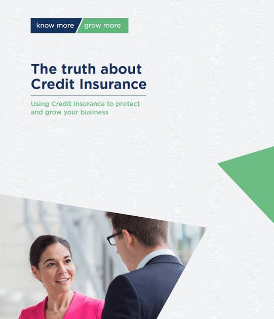 The truth about credit insurance leaflet