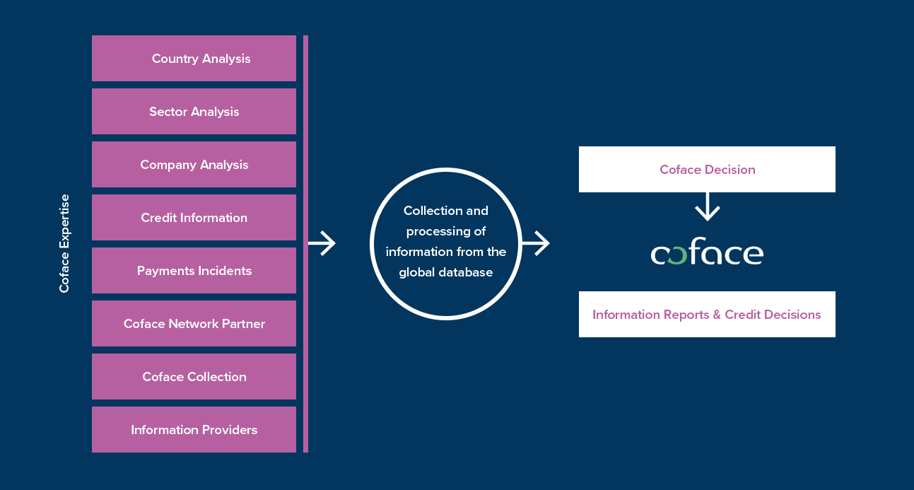 Information Reports Credit Decisions