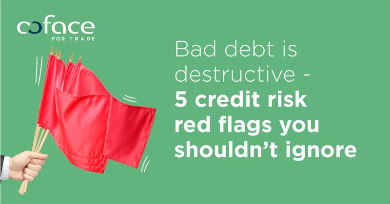 Bad debt is destructive - 5 credit risk red flags you shouldn't ignore